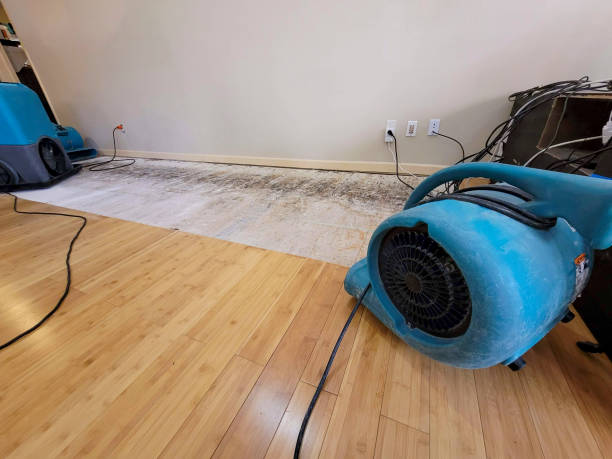 Reliable Basement Flood Cleanup contractor in Culloden, WV by Hirex Water Damage