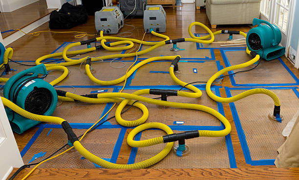 Professional Basement Flood Cleanup technician working in Culloden, WV