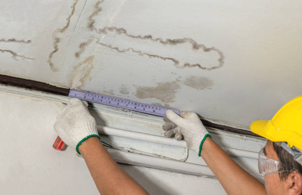 Affordable Basement Flood Cleanup solutions in Culloden, WV
